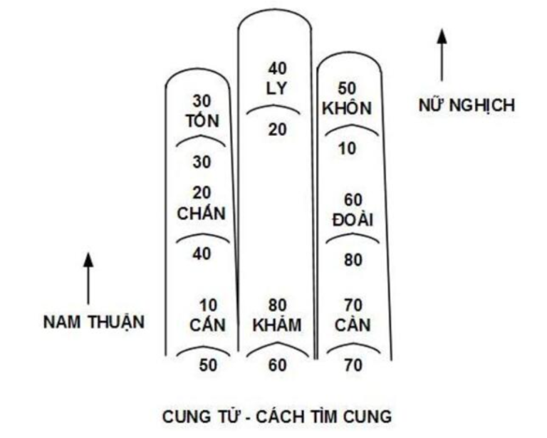 Sơ đồ đốt ngón tay 3 ngón giữa để tính cung tử